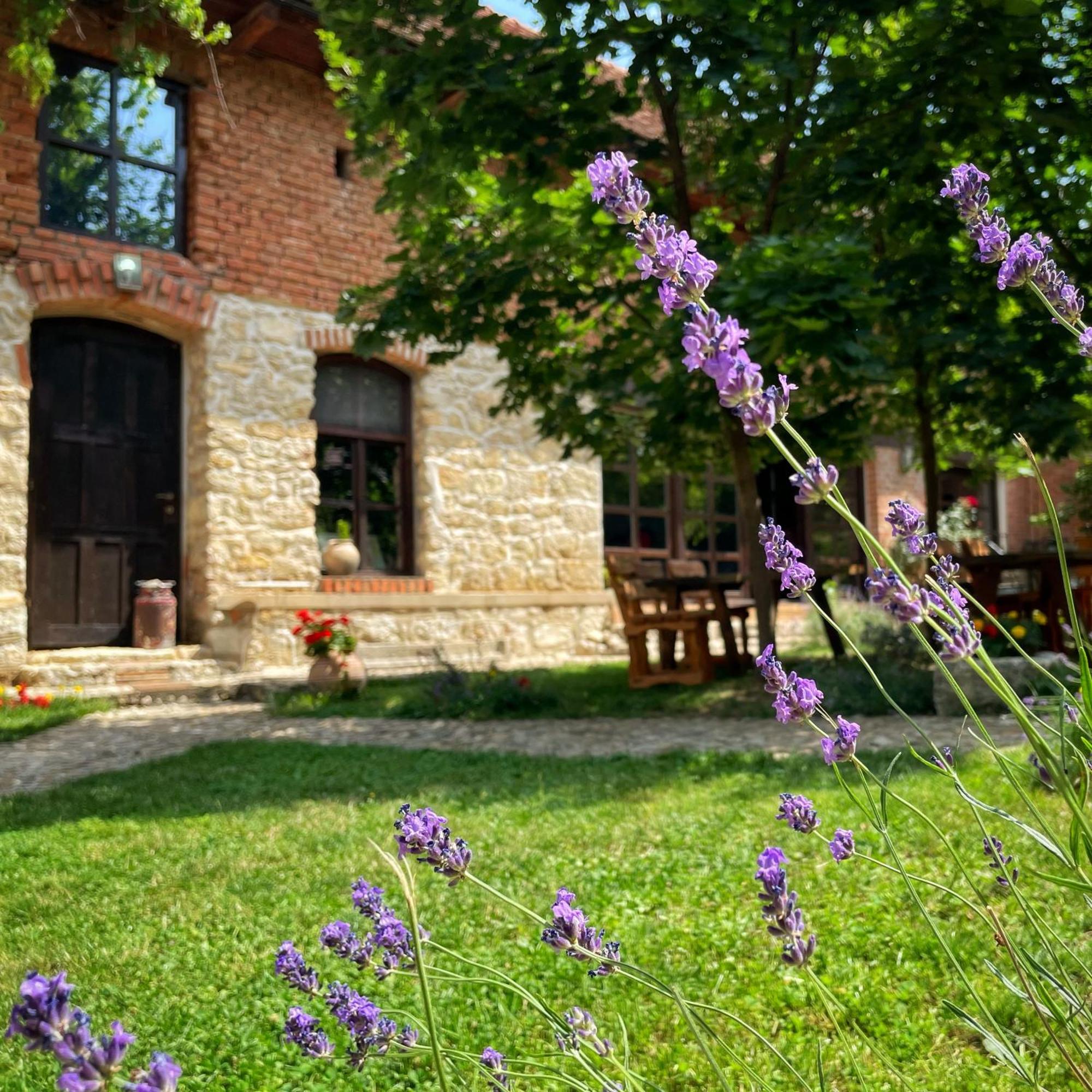 Casa Thea Cheile Nerei Hotel Sokolar Exterior foto